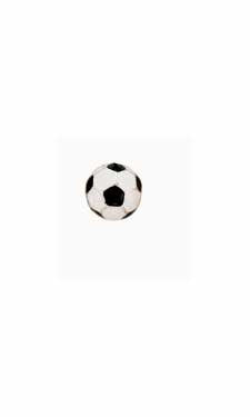 (02054) Bookflip's Soccer Ball